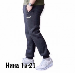 Штаны 22038257