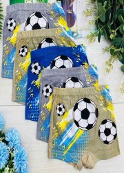 Трусы для мальчиков 10шт