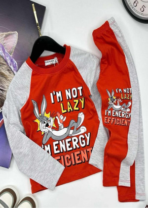 Спортивный костюм 23084290