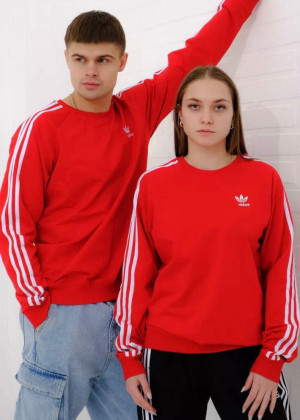 Толстовка 23099187