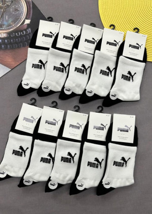 Носки 10пар 23134331