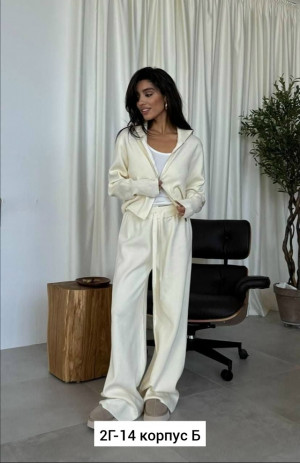 Спортивный костюм #23162307