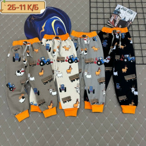 Штаны #23227482