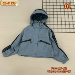 Ветровка #23233194