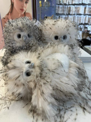 Игрушка 23238675