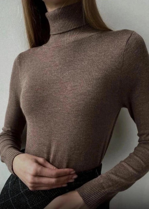 Водолазка #23240124