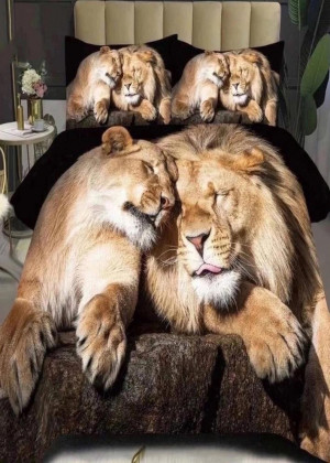 Постельное белье #23249453