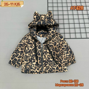 Ветровка #23264626