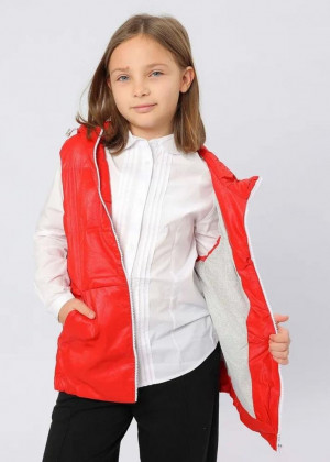 Жилет #23270674