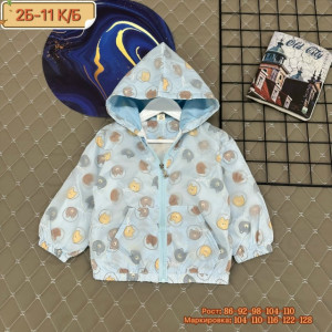 Ветровка #23274372