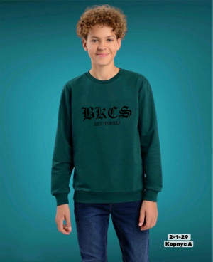 Толстовка #23279072