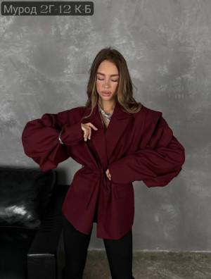 Пиджак #23297538