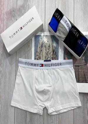 Трусы #23326287