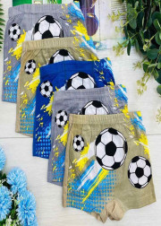 Трусы для мальчиков 10шт