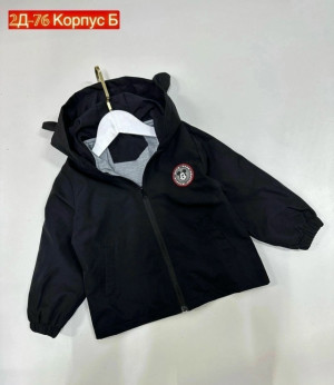 Ветровка #23337392