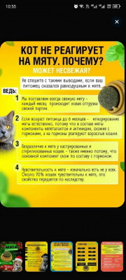Форма