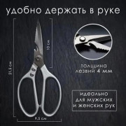 Ножницы