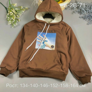 Толстовка 23409309