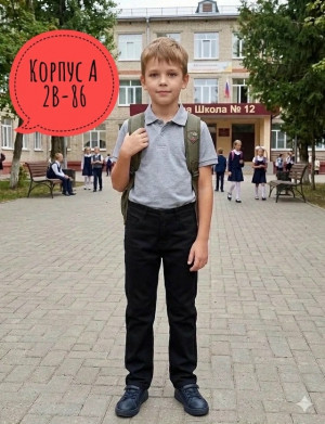 Брюки #23429186