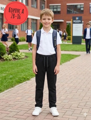 Брюки #23439968