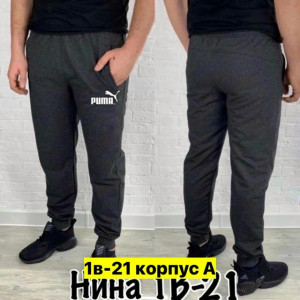 Штаны #23444086
