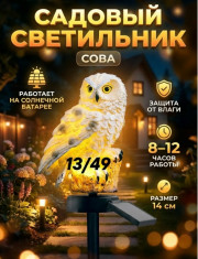 Форма