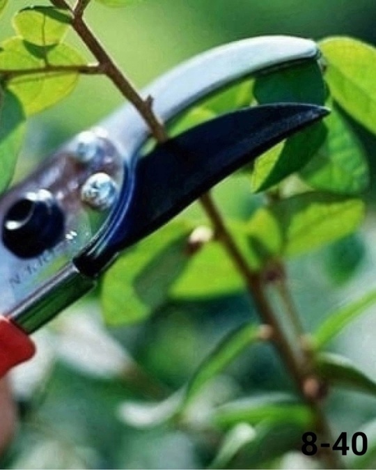 Секатор 22919447