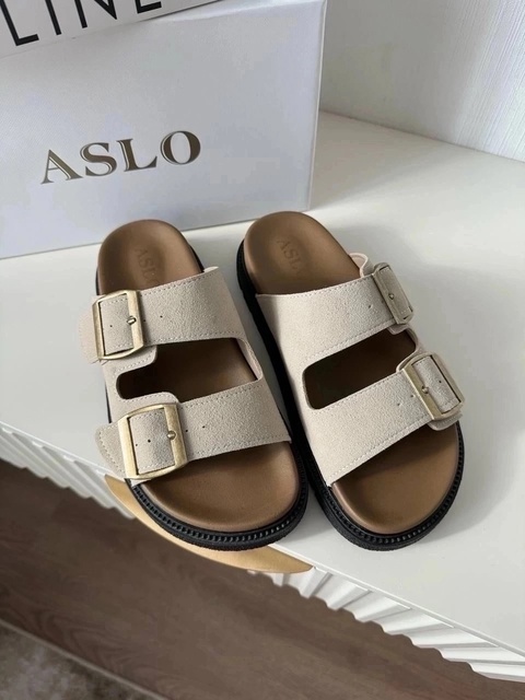 Сланцы 22919399