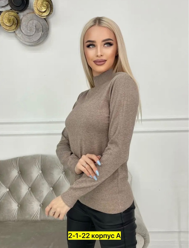 Водолазка 22962307