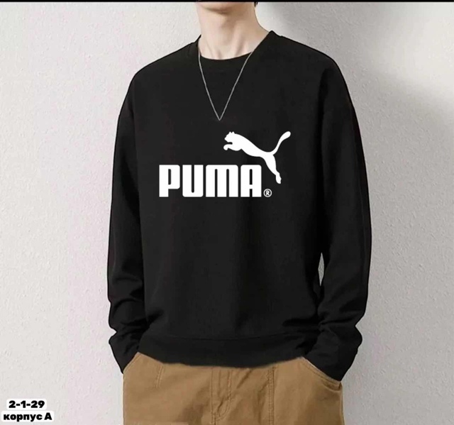 Толстовка 22986948