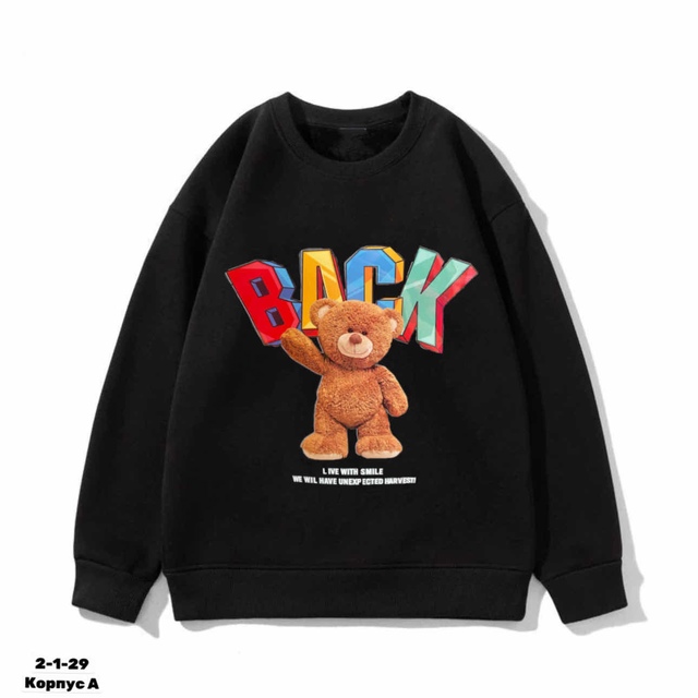 Толстовка 22987062