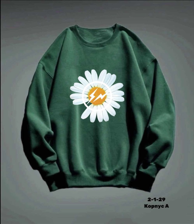 Толстовка 22987048