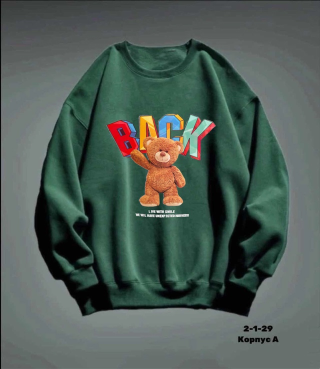 Толстовка 22987062