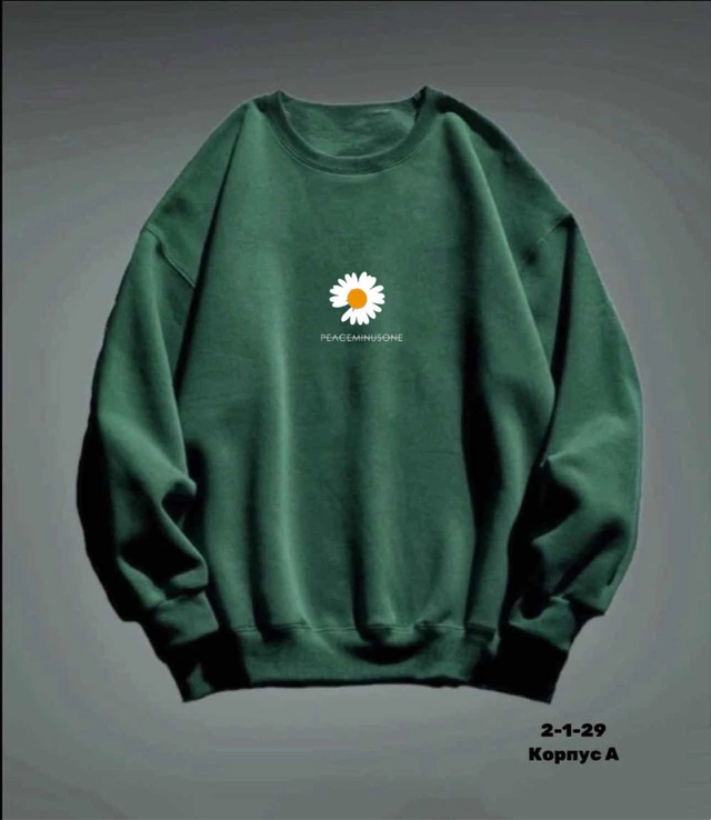 Толстовка 22987060