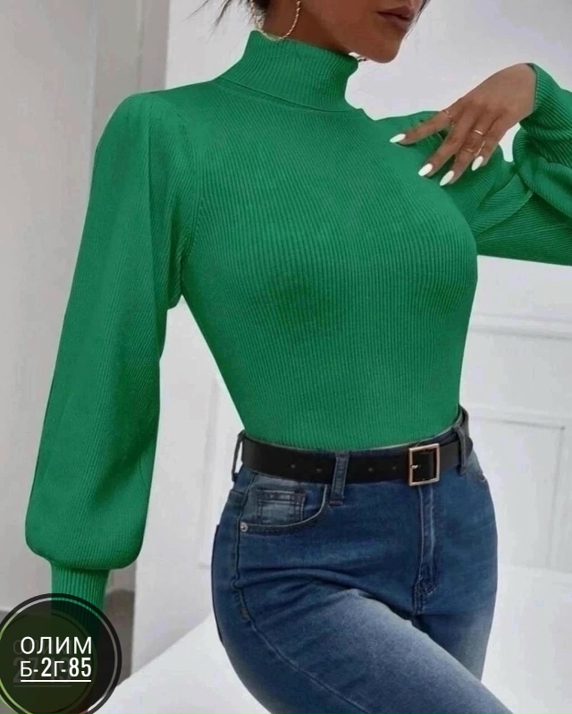 Водолазка 23031259