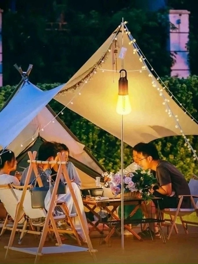 Артикул 23091000