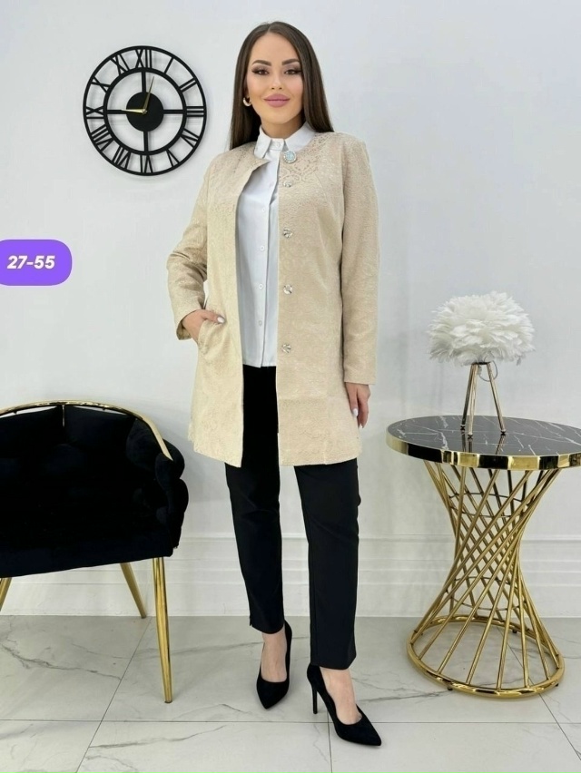 Пиджак 23102016