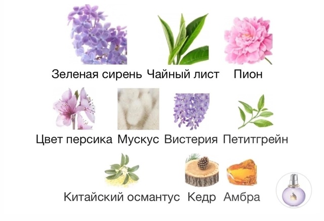 Парфюм 23114034