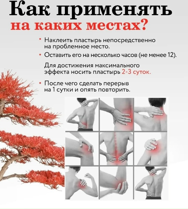 Пластырь 23115108