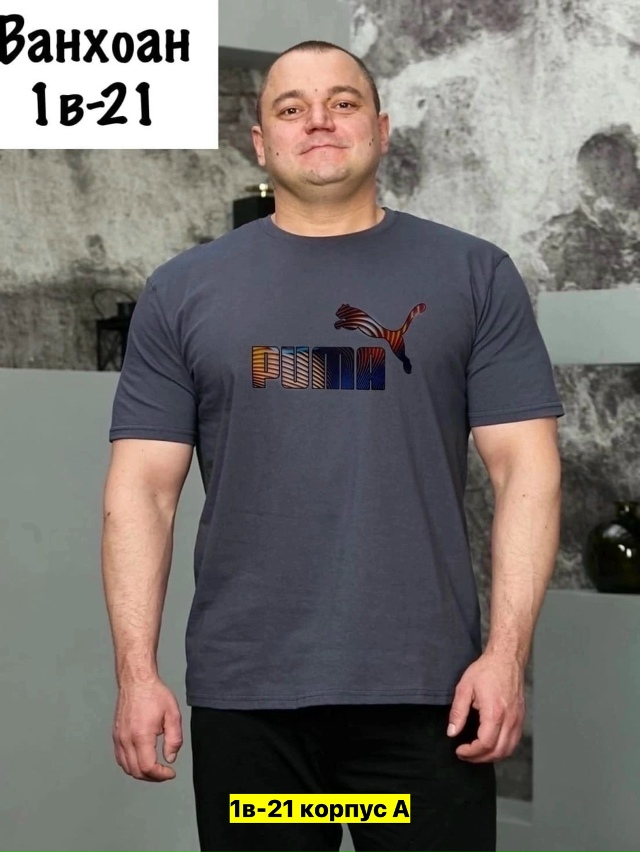 Футболка 23161719